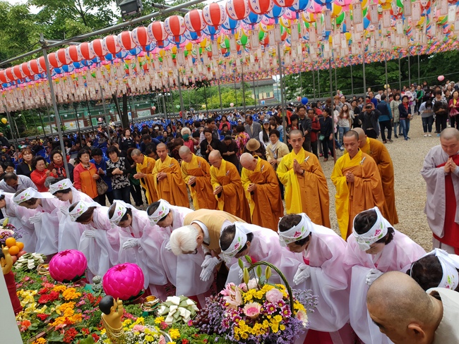 Partake in the Vesak Ceremony at Yonggungsa Cham Joeun Uri Temples